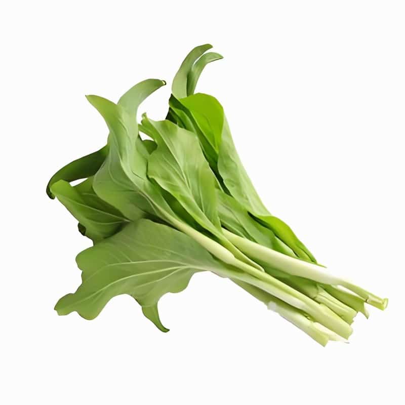 沈河蔬菜供应链配送公司