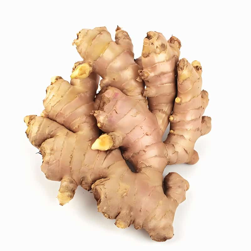 静安区蔬菜生鲜配送新鲜