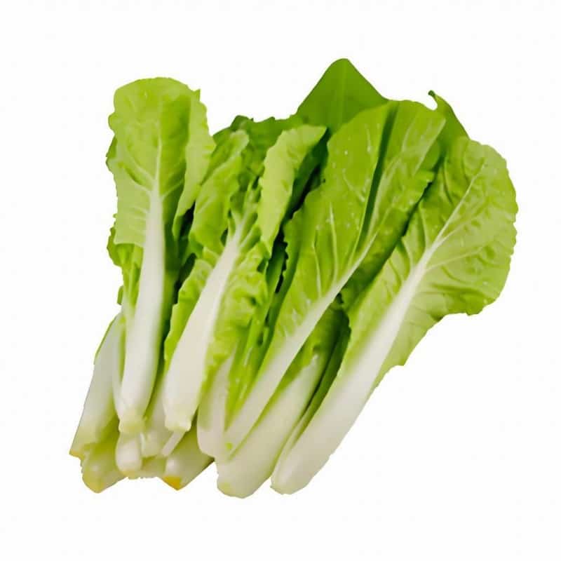 生鲜店蔬菜配送供应链