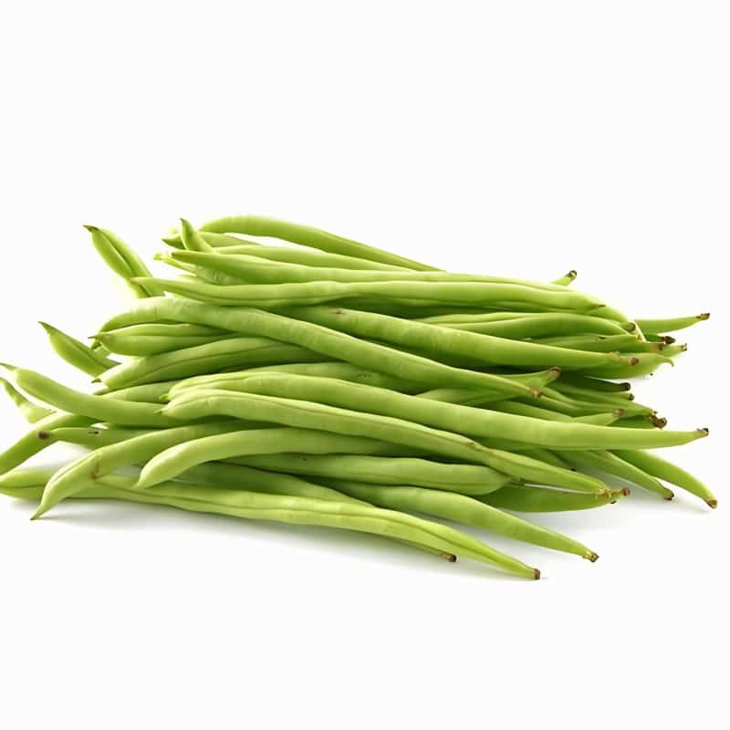 “五行人” 如何度初夏盛夏