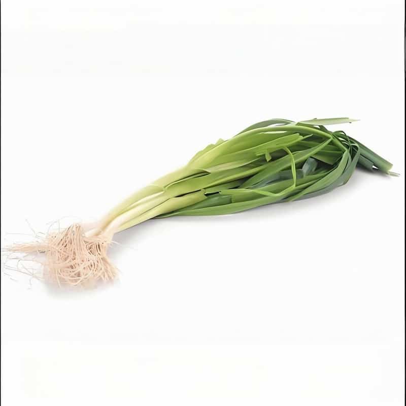 “冬炼三九”益处多隆冬