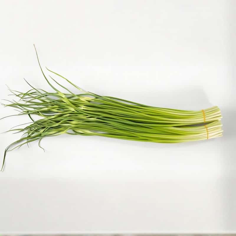 “冬病夏治”要防上火盛夏