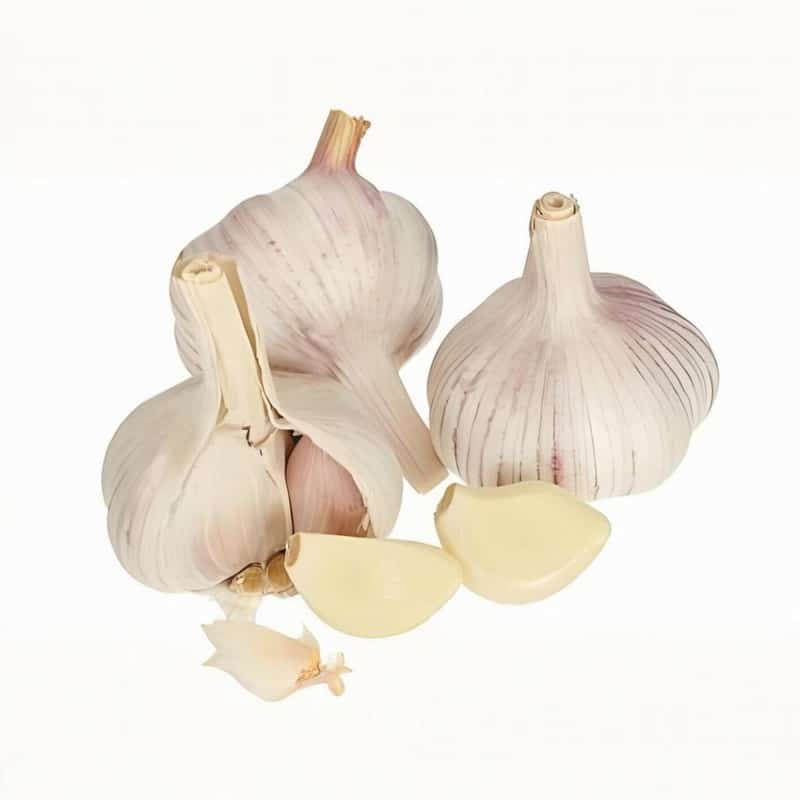 “多吃苦” 快乐度过一整夏盛夏