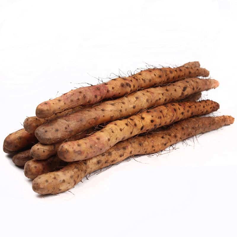 “大雪”冬渐浓专家提醒养生三项注意