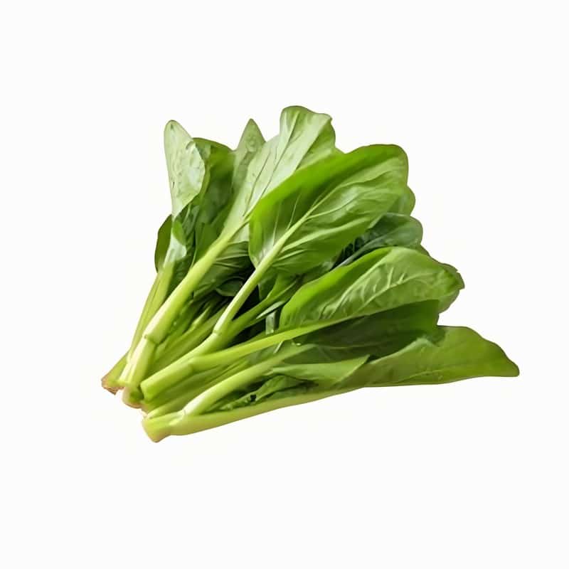 春季进补注意事项:早春不宜吃阿胶类补品早春