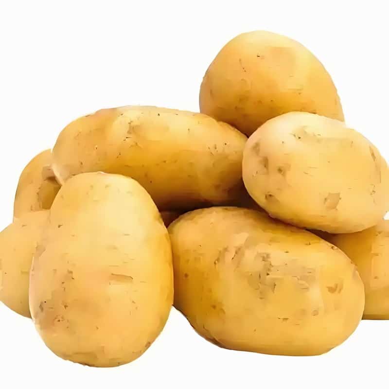 “小雪”养生外防湿冷内防燥热