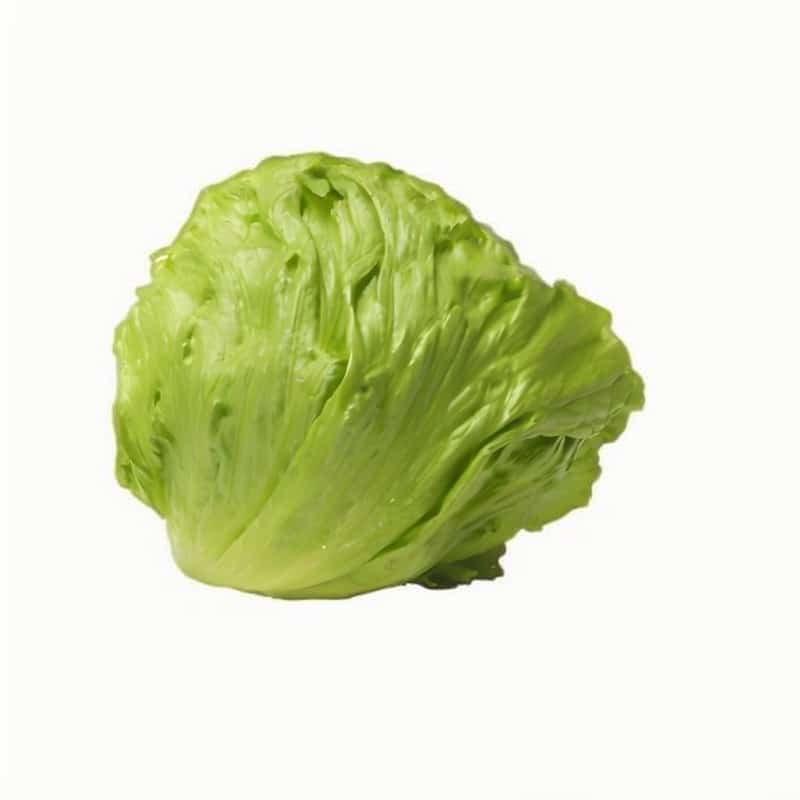 辽中蔬菜专业配送招聘网