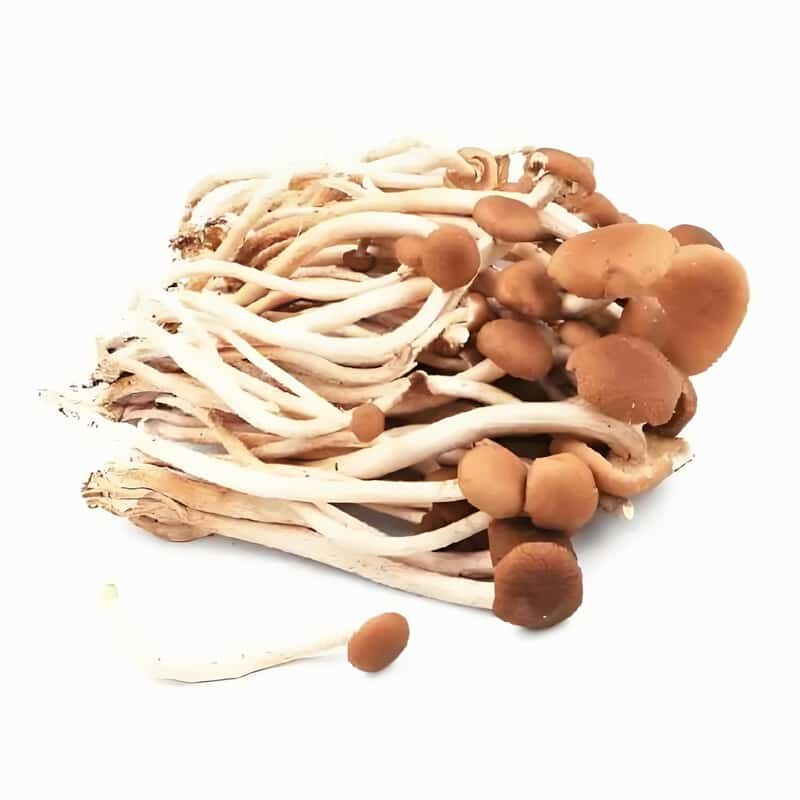 吉水县蔬菜配送电话