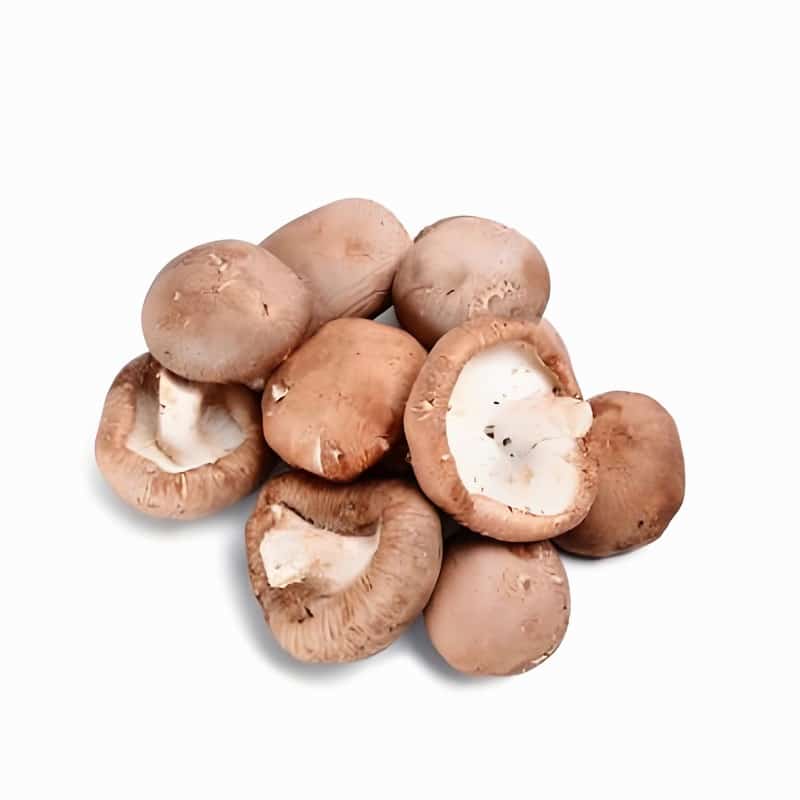 莲塘新鲜蔬菜配送电话多少