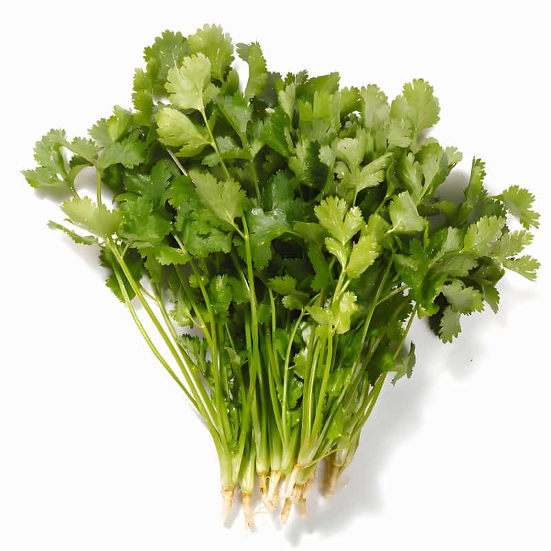 仁怀蔬菜批发配送电话地址