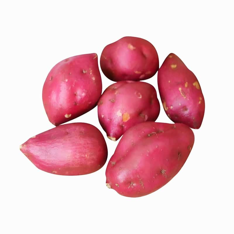 菜多美蔬菜配送能不能干