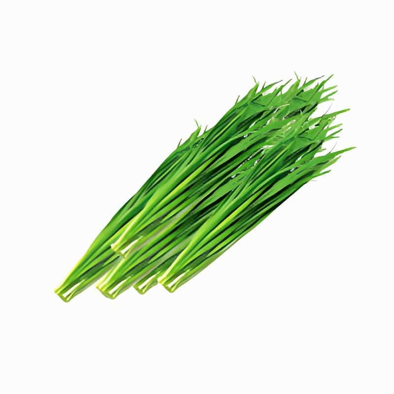 嘉兴商超蔬菜配送费用标准