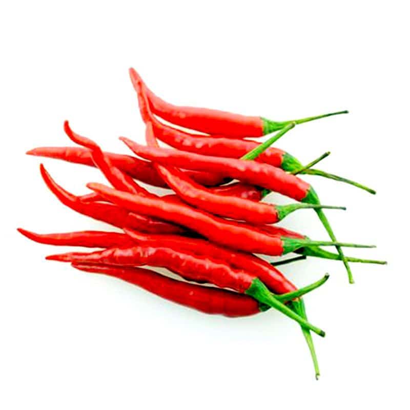 王莉蔬菜配送怎么样啊