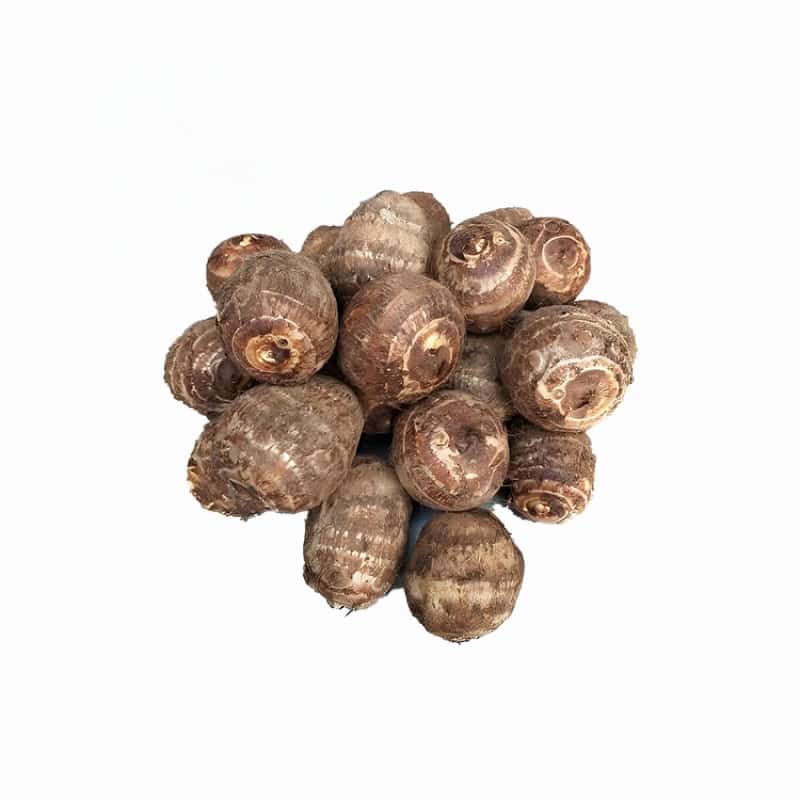 蔬菜批发配送绥阳电话地址