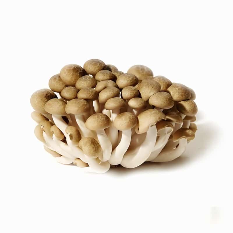 徐州企业蔬菜配送品牌排行榜