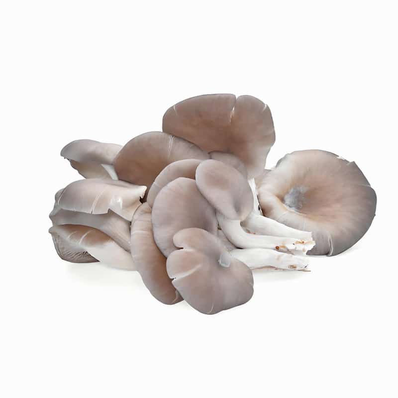 鸡蛋壳有什么用处鸡蛋壳做手工