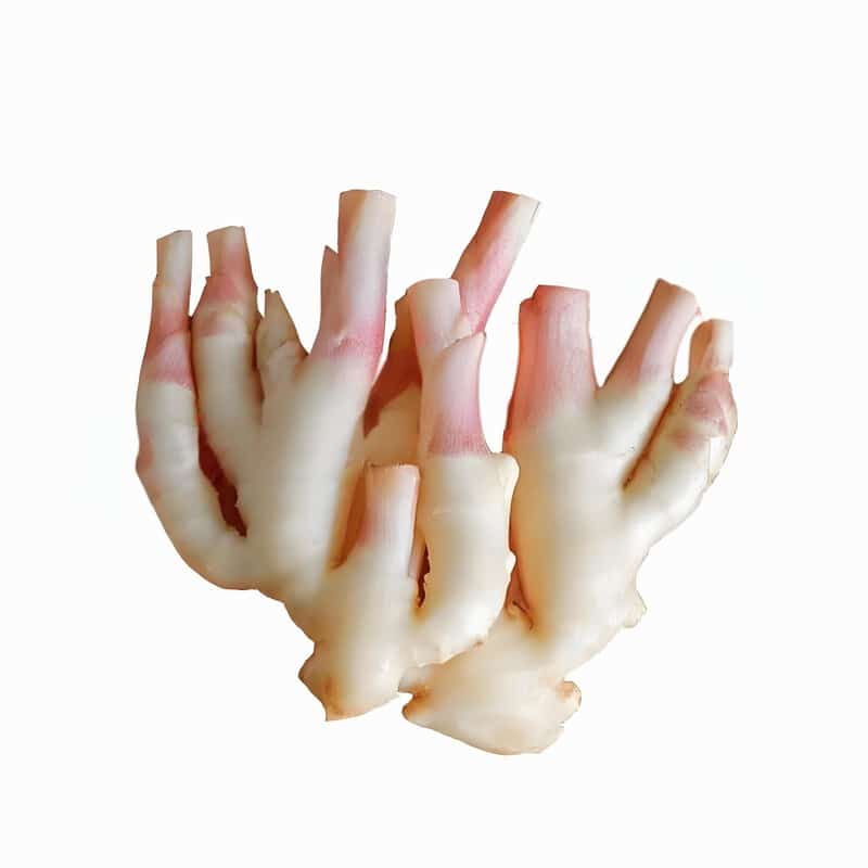 麻醉平面过高有什么症状 以及怎么处理