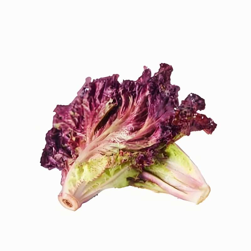 黄花菜的功效与作用 健脑安神