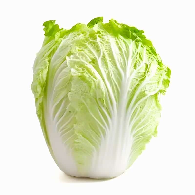 新乡蔬菜水果配送公司