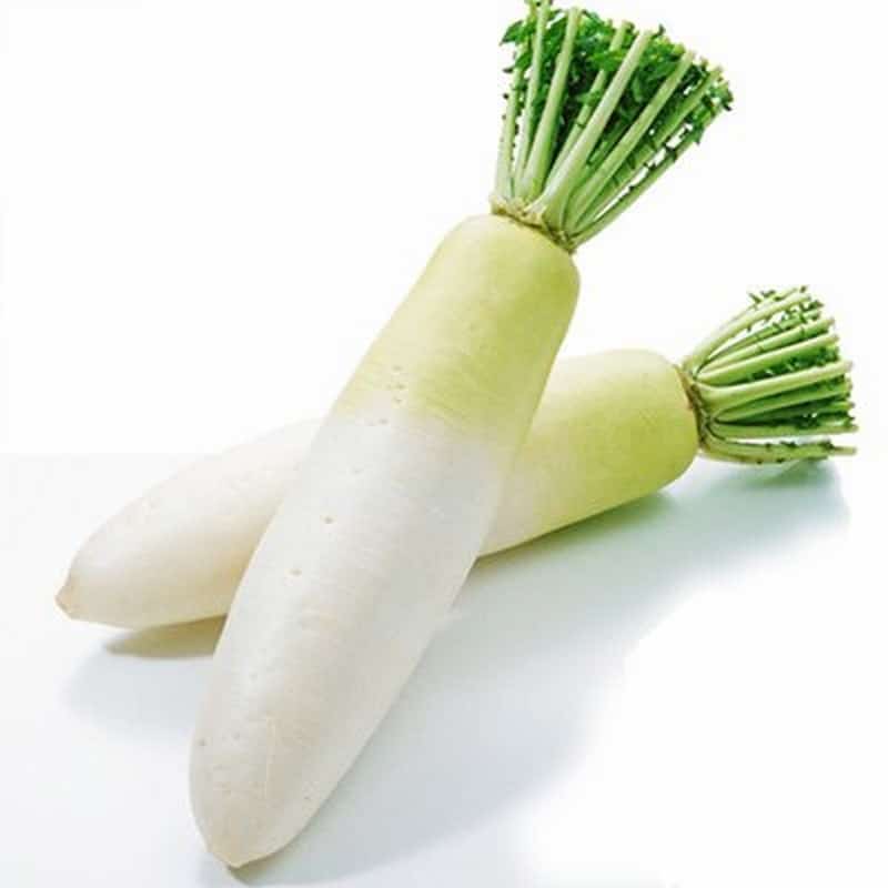 阜宁县蔬菜批发配送公司