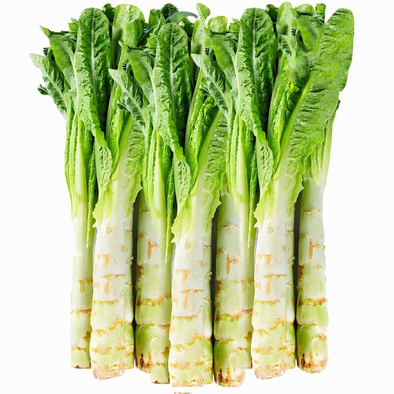 阜阳疫情蔬菜配送电话