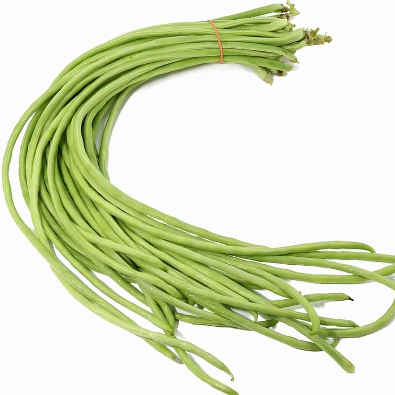 菏泽定陶蔬菜配送公司电话