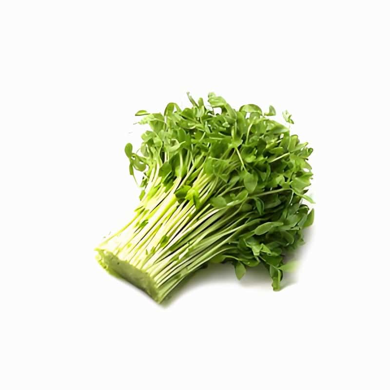 同城蔬菜批发配送保定