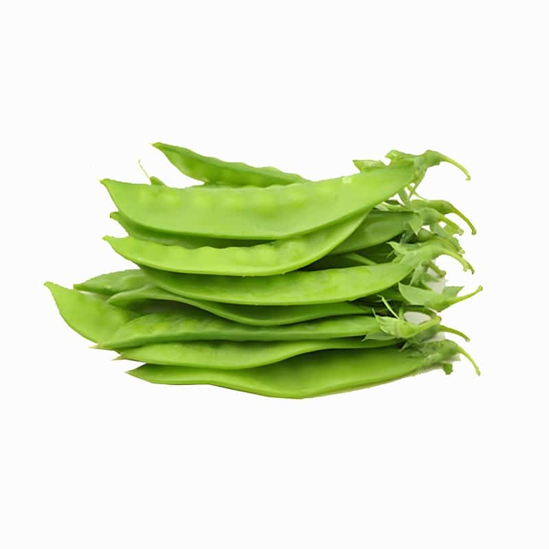 春季聚会出游 避免这些饮食误区早春