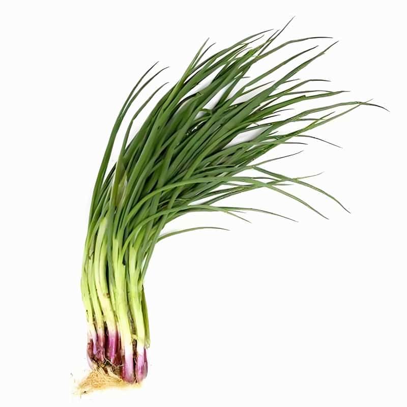 春季皮肤过敏的治疗方法 导致春季皮肤过敏的原因