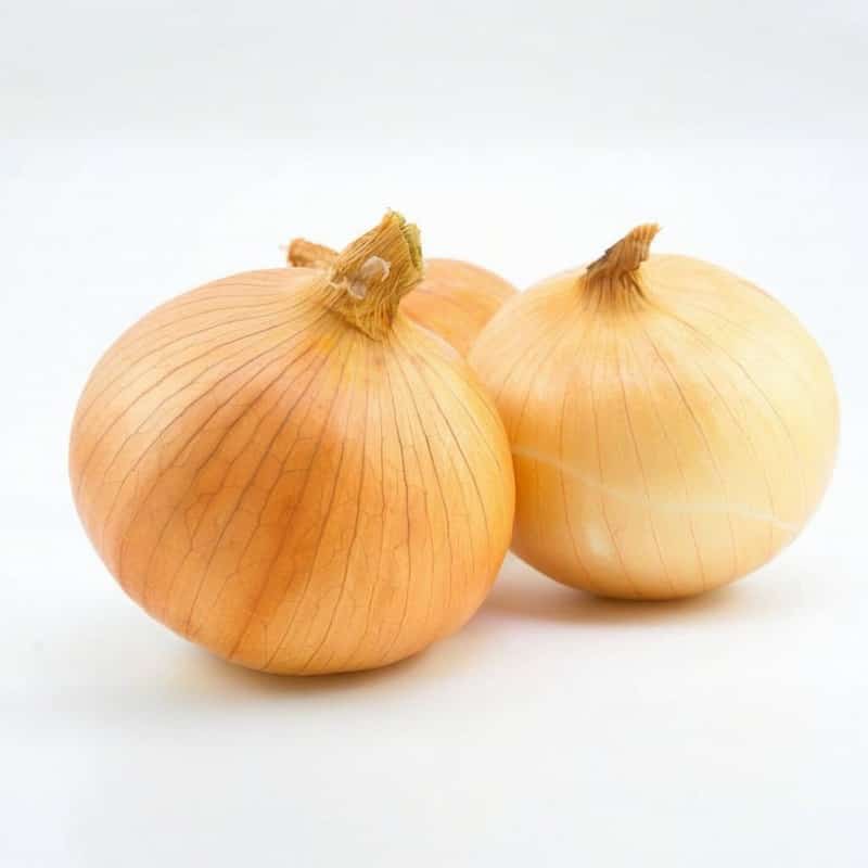 个旧市新鲜蔬菜批发配送