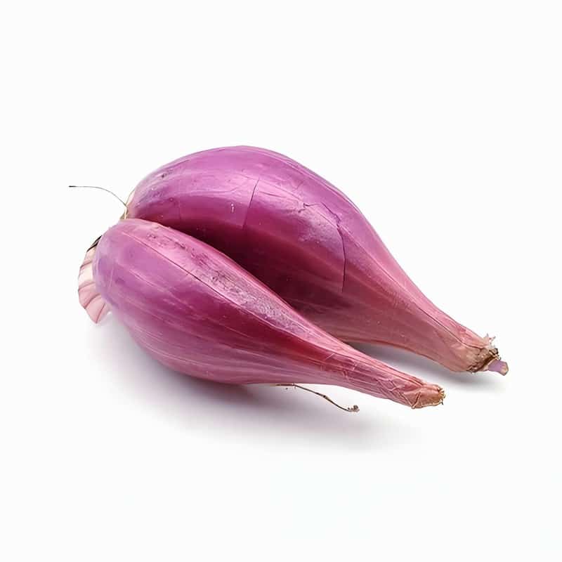 春季皮肤过敏的治疗有什么 儿童如何应对春季皮肤过敏