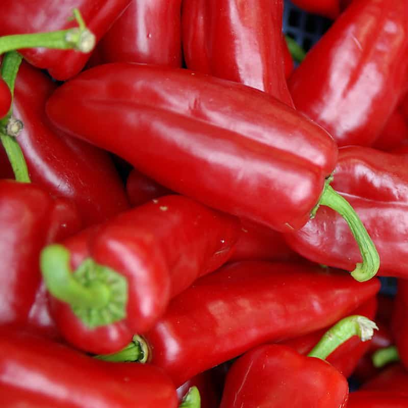 春季皮肤过敏频繁 预防对策要谨记早春