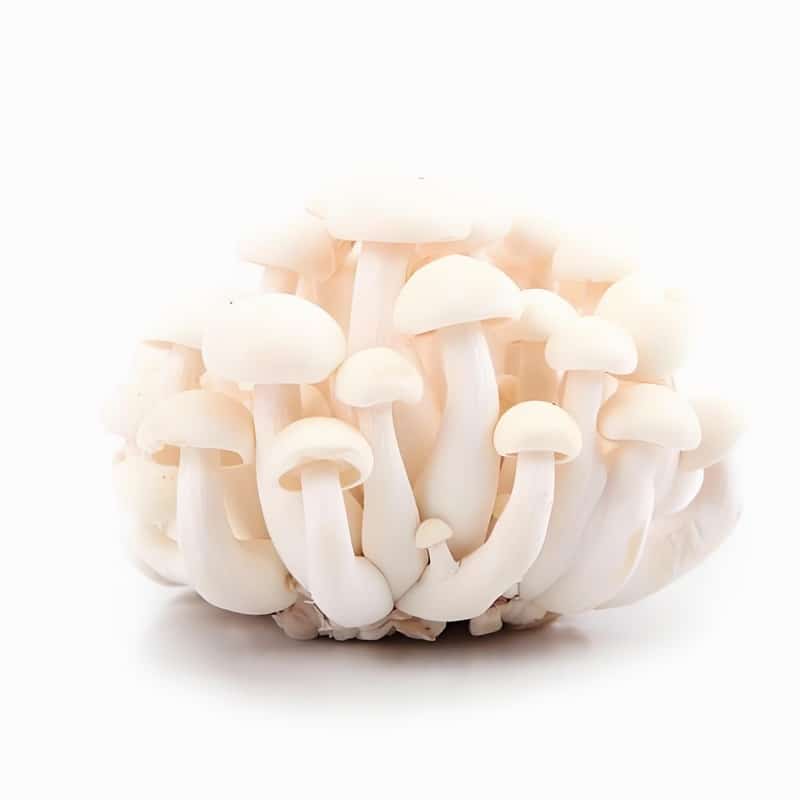 春季谨防阴道炎偷袭早春