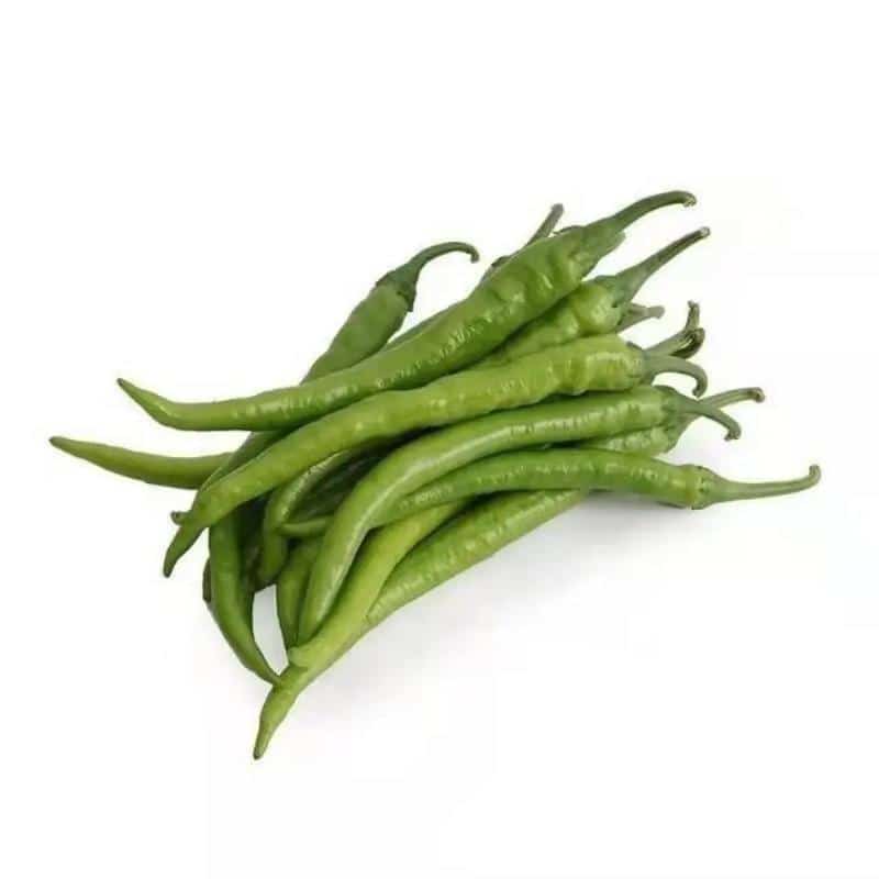 春季精神调养早春