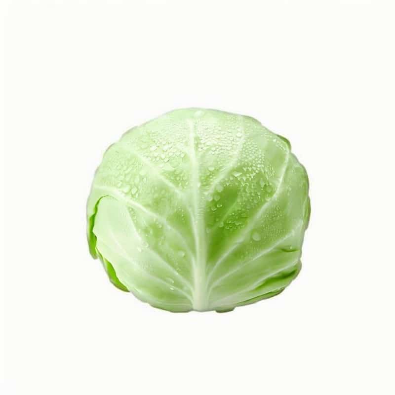 冬天不节食这样子吃不会胖