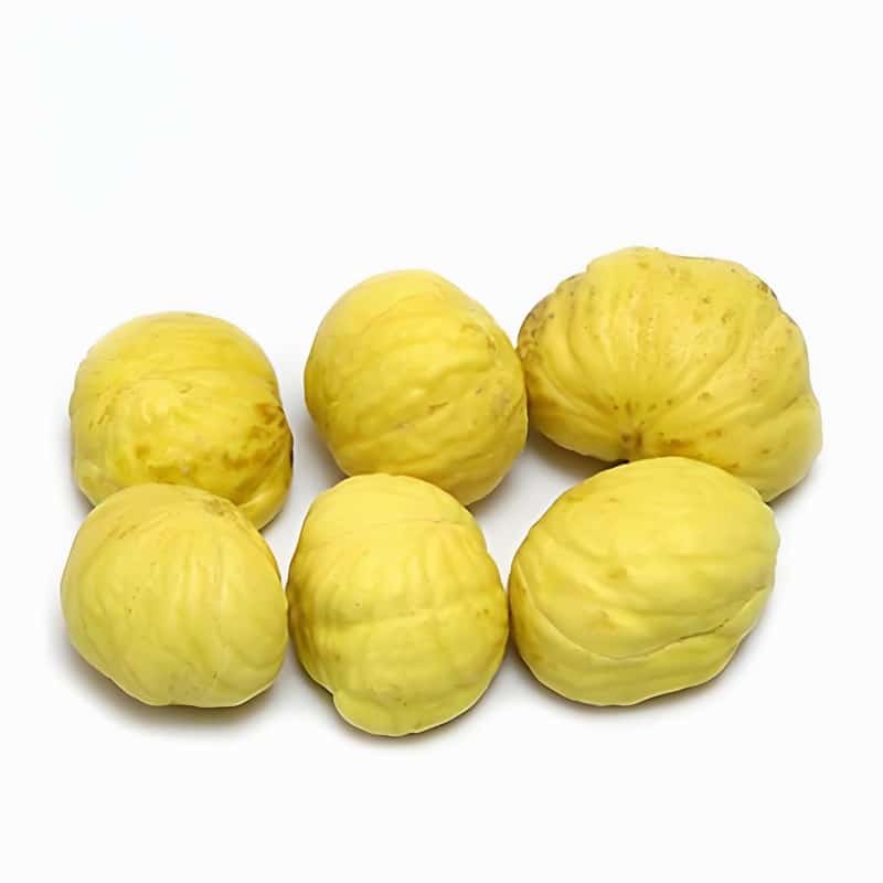 春季谨防“房劳”过度早春