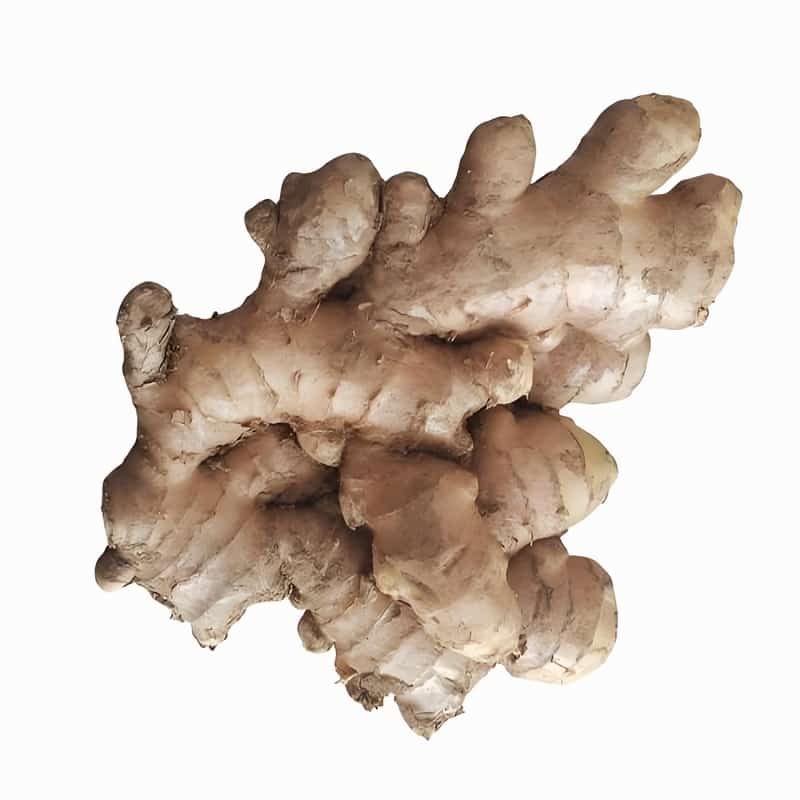 关于冬季养生的知识 为您介绍冬季养生的注意事项