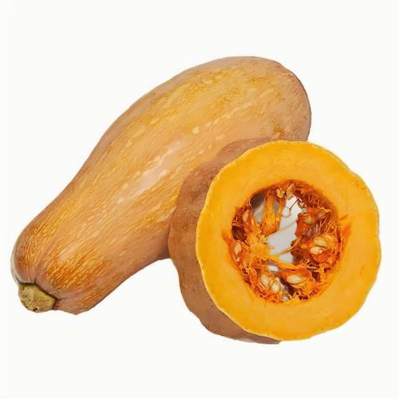 关于冬季养生美食 温暖一个冬季