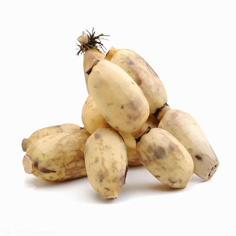 关于夏季生活小常识 你应该知道的四点