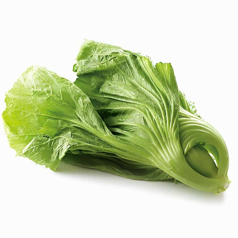 春季谨防饮食中毒 例如霉变甘蔗早春