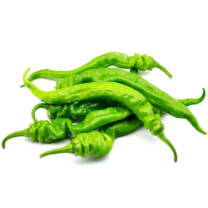 关于夏季生活小常识这四点最值得关注