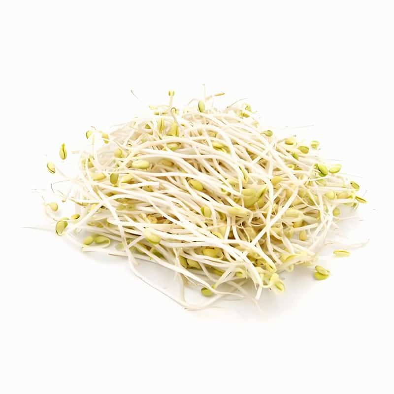 阜阳袁家蔬菜配送中心地址