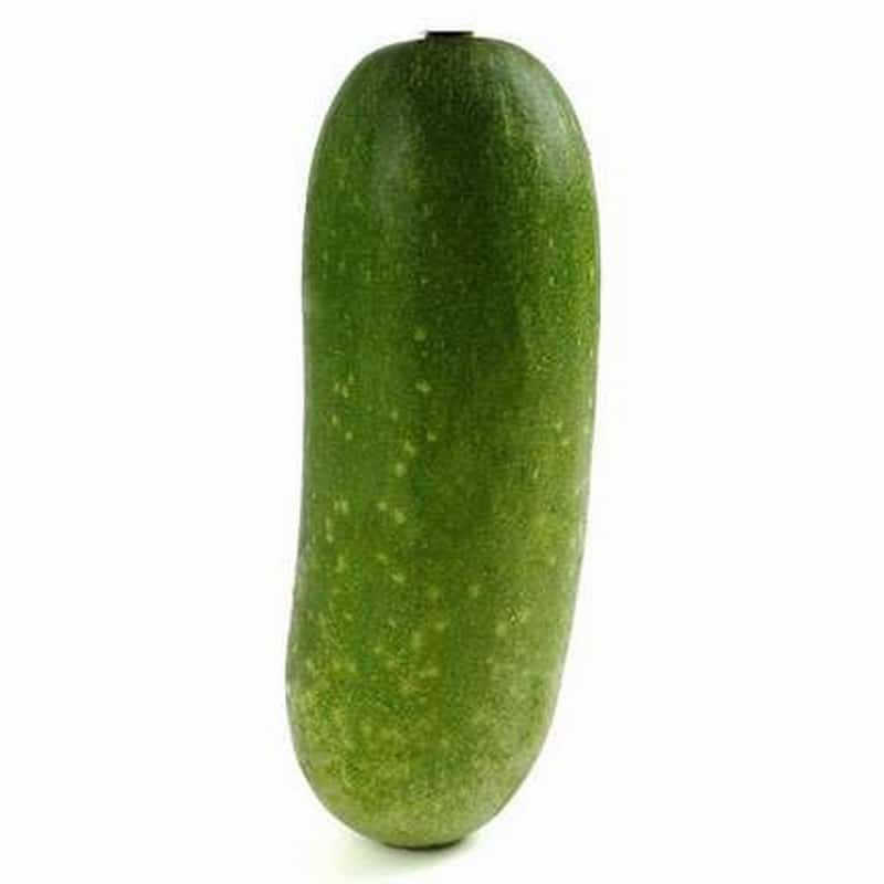 北京蔬菜批发市场配送吗