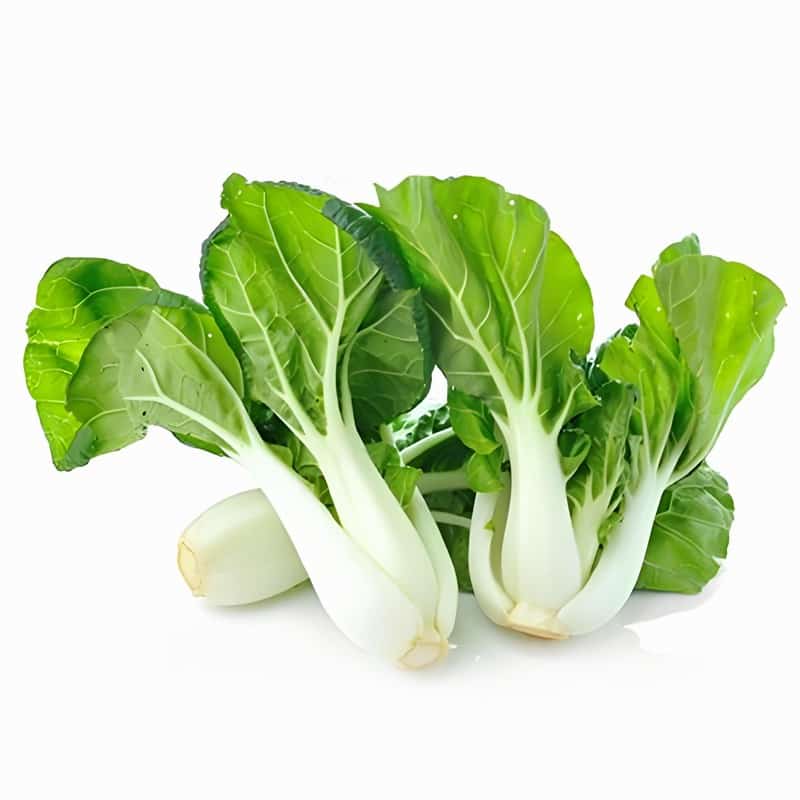 广州市白云区 蔬菜配送