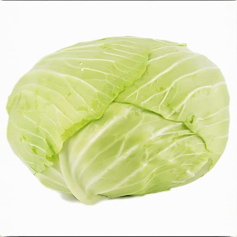 冬令进补 先调脾胃隆冬