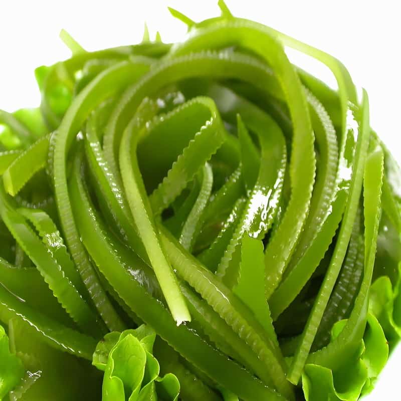 冬去春来话养生三多三少要做到