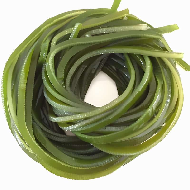 冬去春来重养生早春