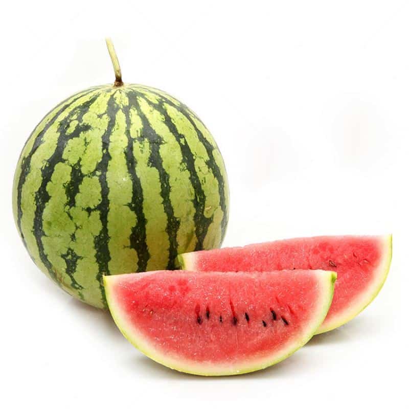 金洋蔬菜配送电话号码