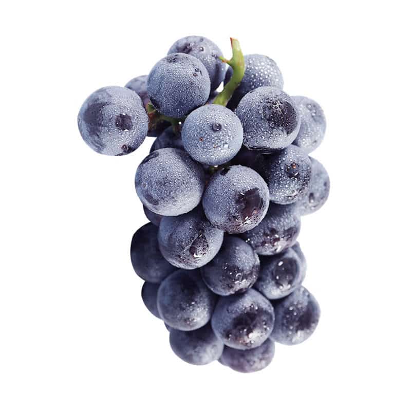 连云港超市蔬菜配送电话